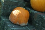 resIMG_20141031_173000_3585.JPG